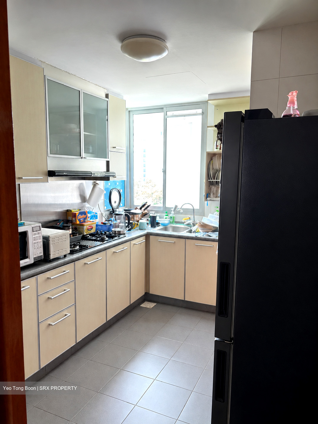 Park Green (D19), Condominium #627477021